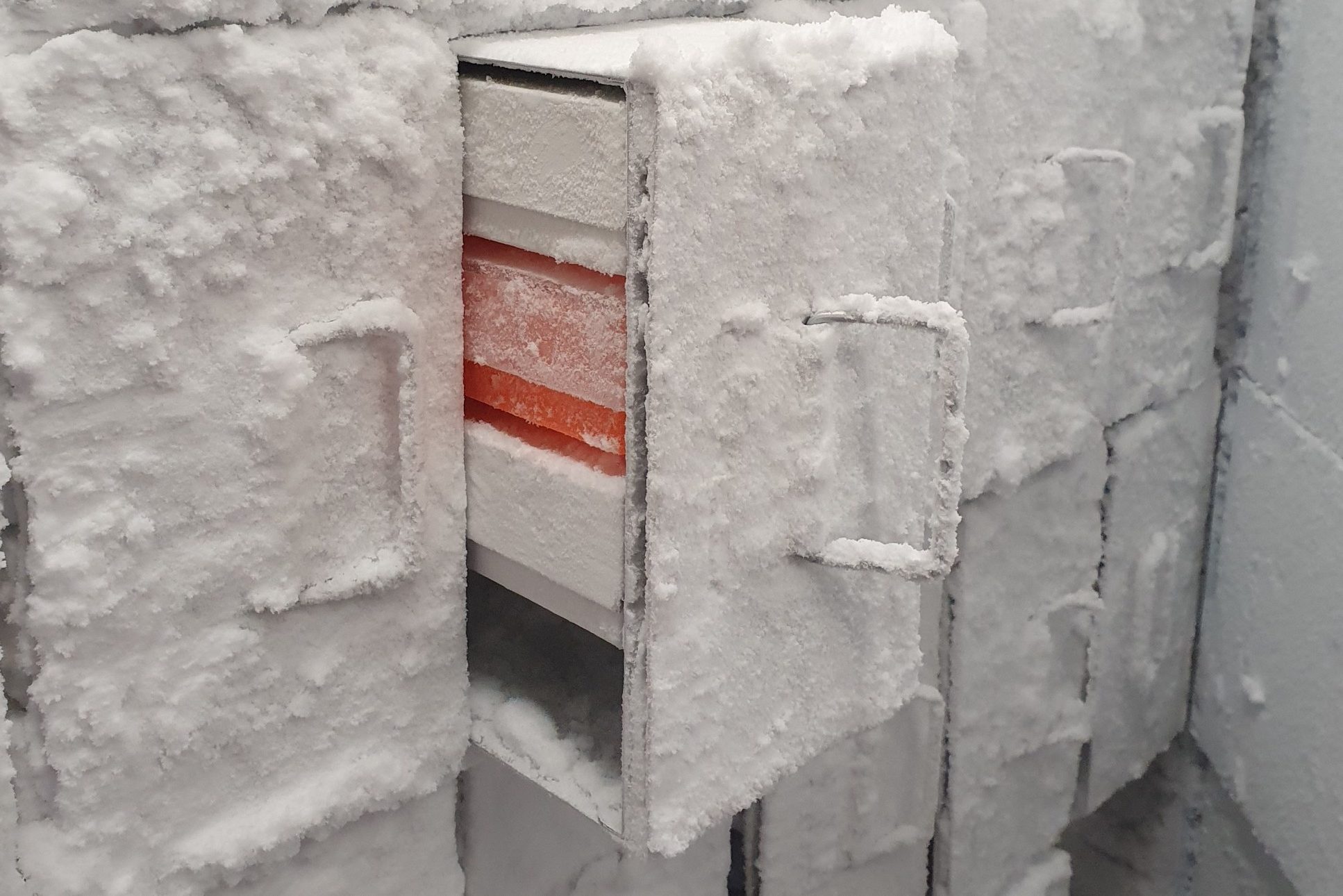 Racked Freezer at Imperial College London, credit: Allison Hunter